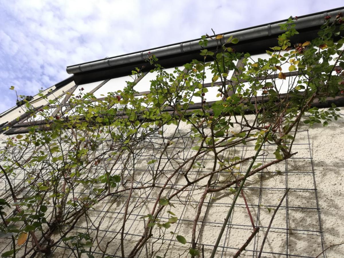 Ferienwohnung Präsenzhof Lay Exterior foto